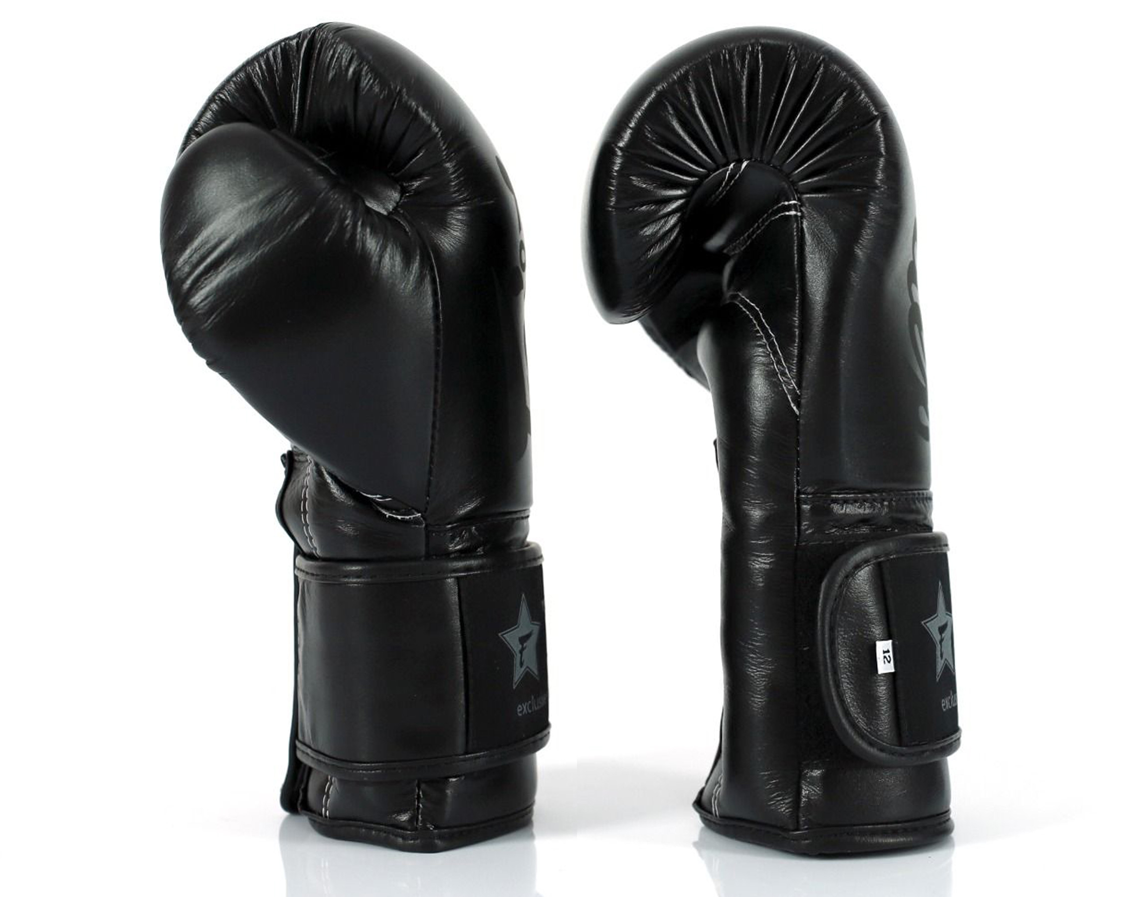 Fairtex X Booster leather boxing gloves in black/black - Boxing gloves,  training gloves and sparring gloves - Fairtex X Booster