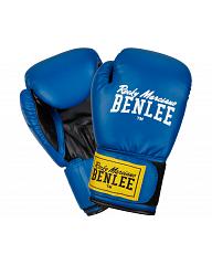 BenLee Junior Boxing Glove Rodney